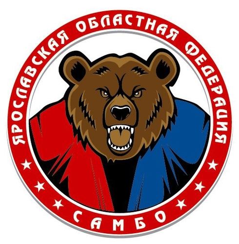 
<p>                                Ибрагим Аджиев избран на должность Председателя Ярославского регионального отделения ВФС</p>
<p>                        